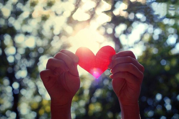 Coeur rouge dans les mains de la jeune fille