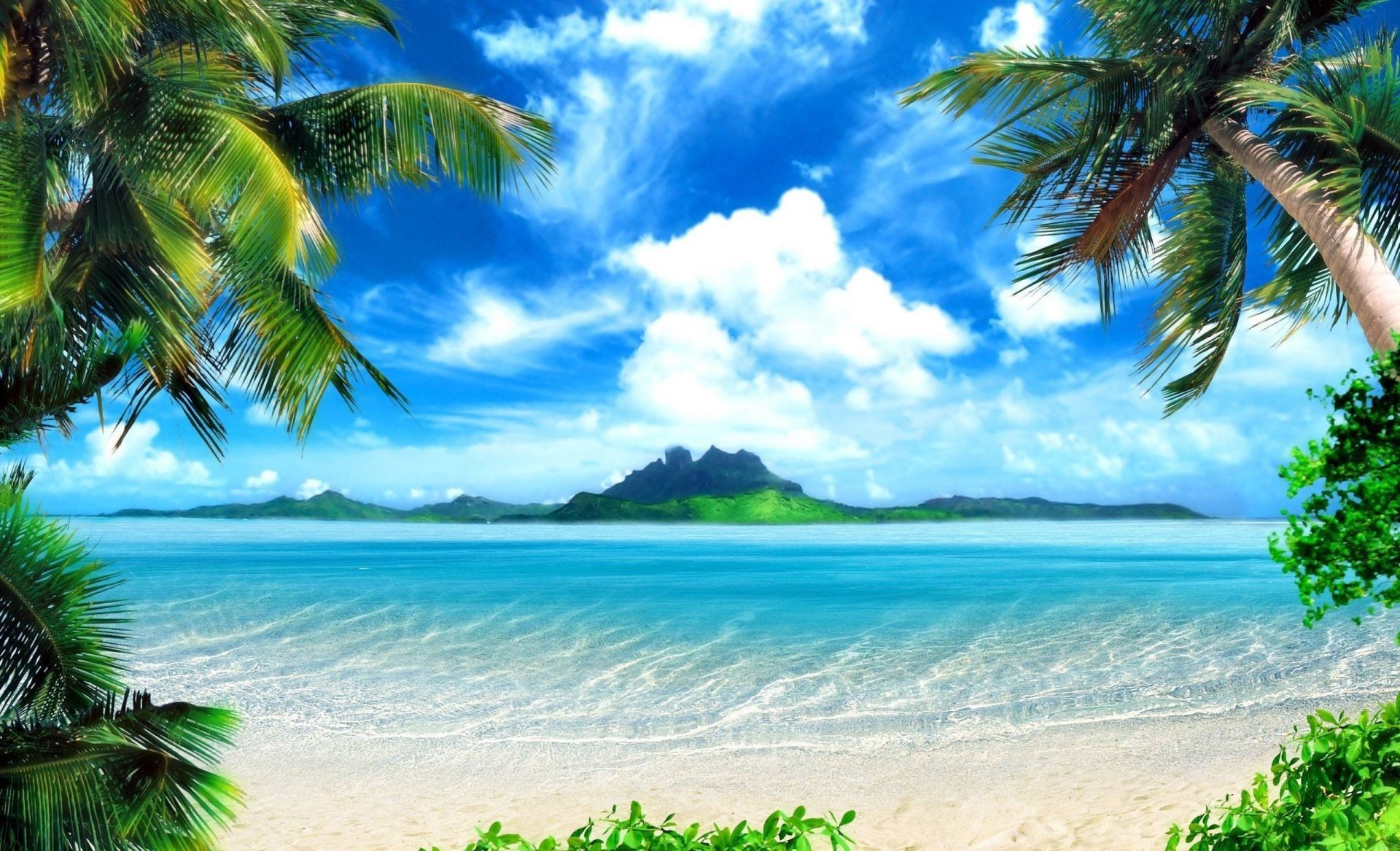 sea and ocean tropical beach palm sand island paradise coconut seashore exotic idyllic ocean summer seascape turquoise resort vacation lagoon water sun relaxation