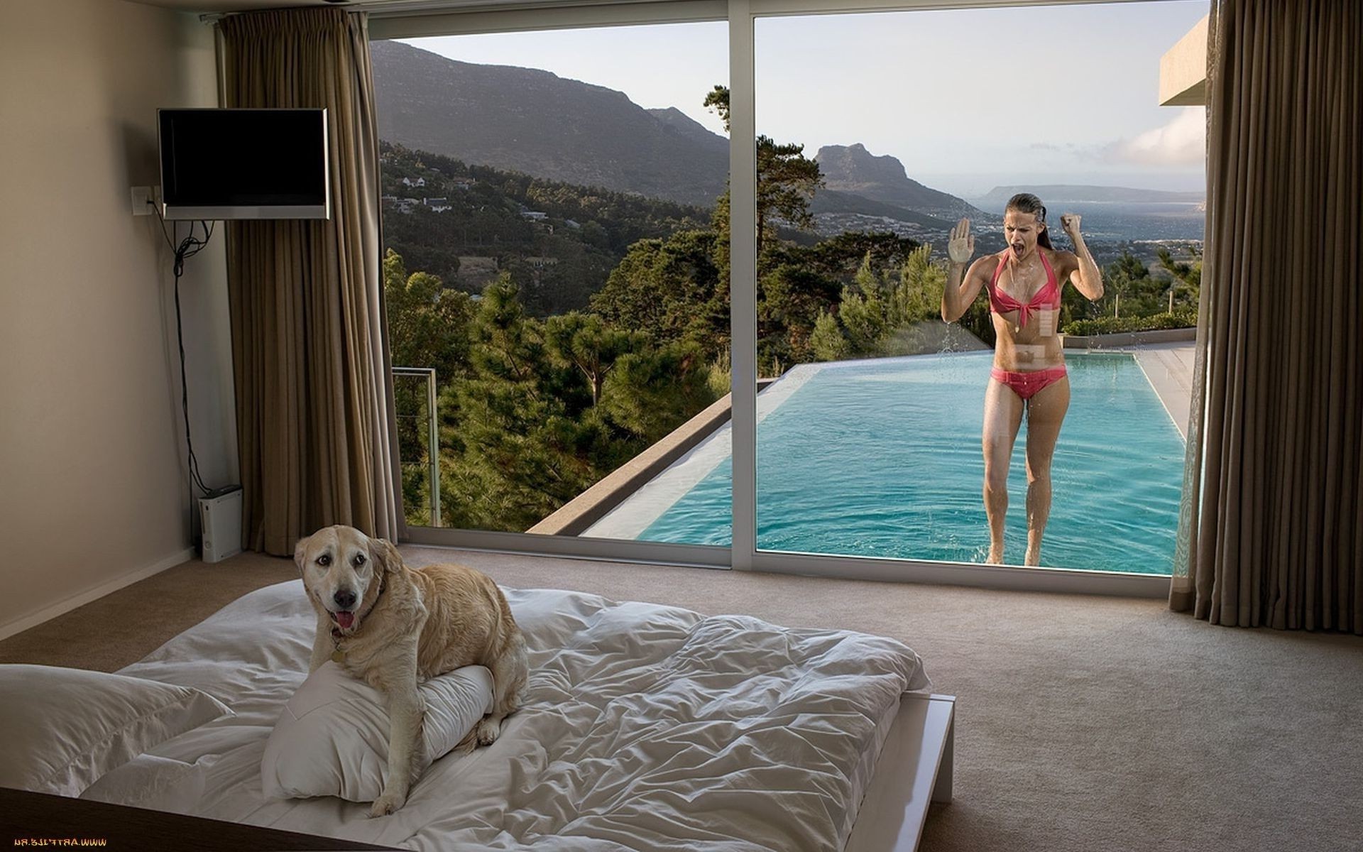 animali finestra ragazza acqua viaggi donna al coperto sole spiaggia mare hotel camera cielo estate relax vacanza ritratto bel tempo oceano uno