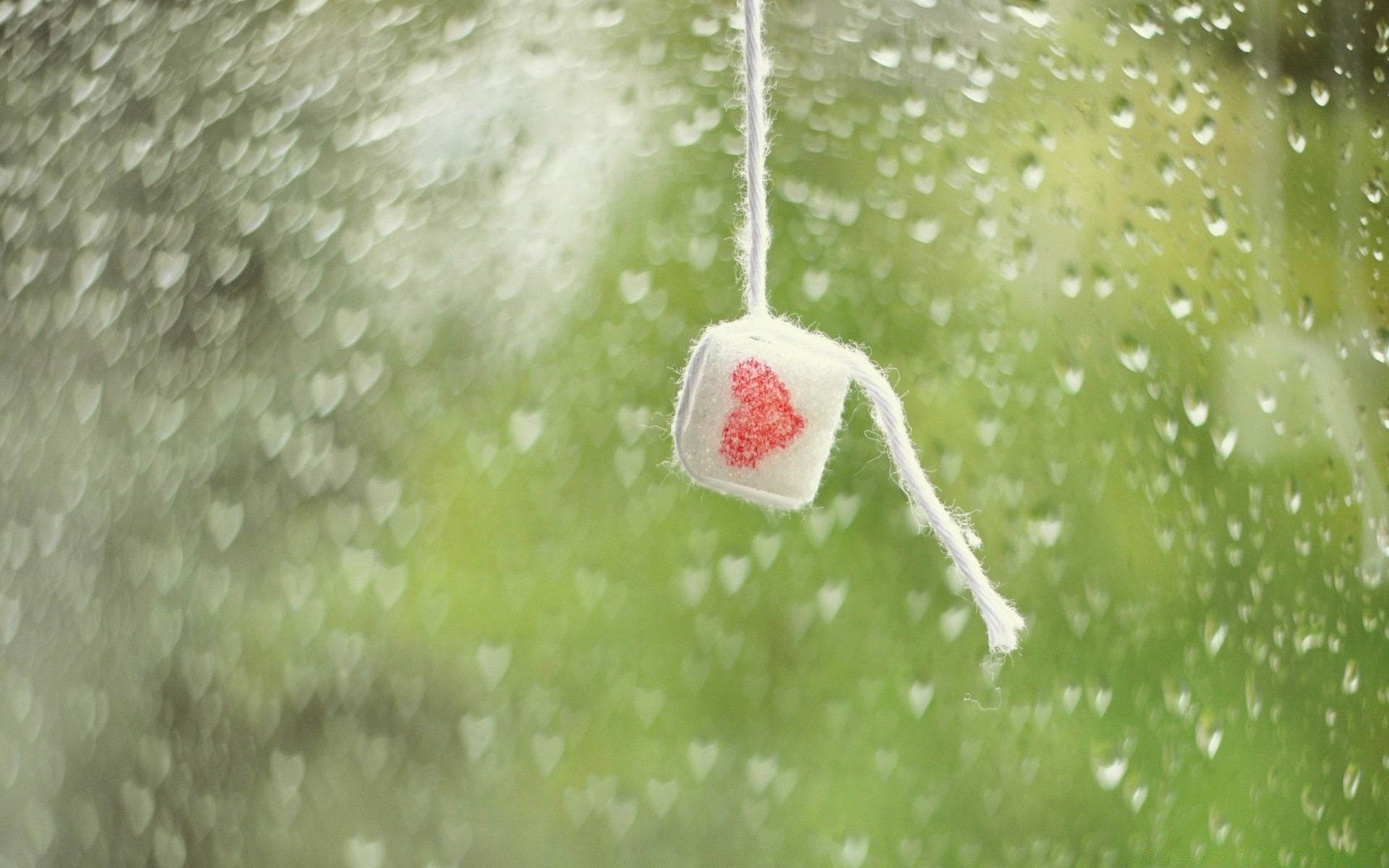 hearts winter water snow christmas wet drop nature cold blur food rain