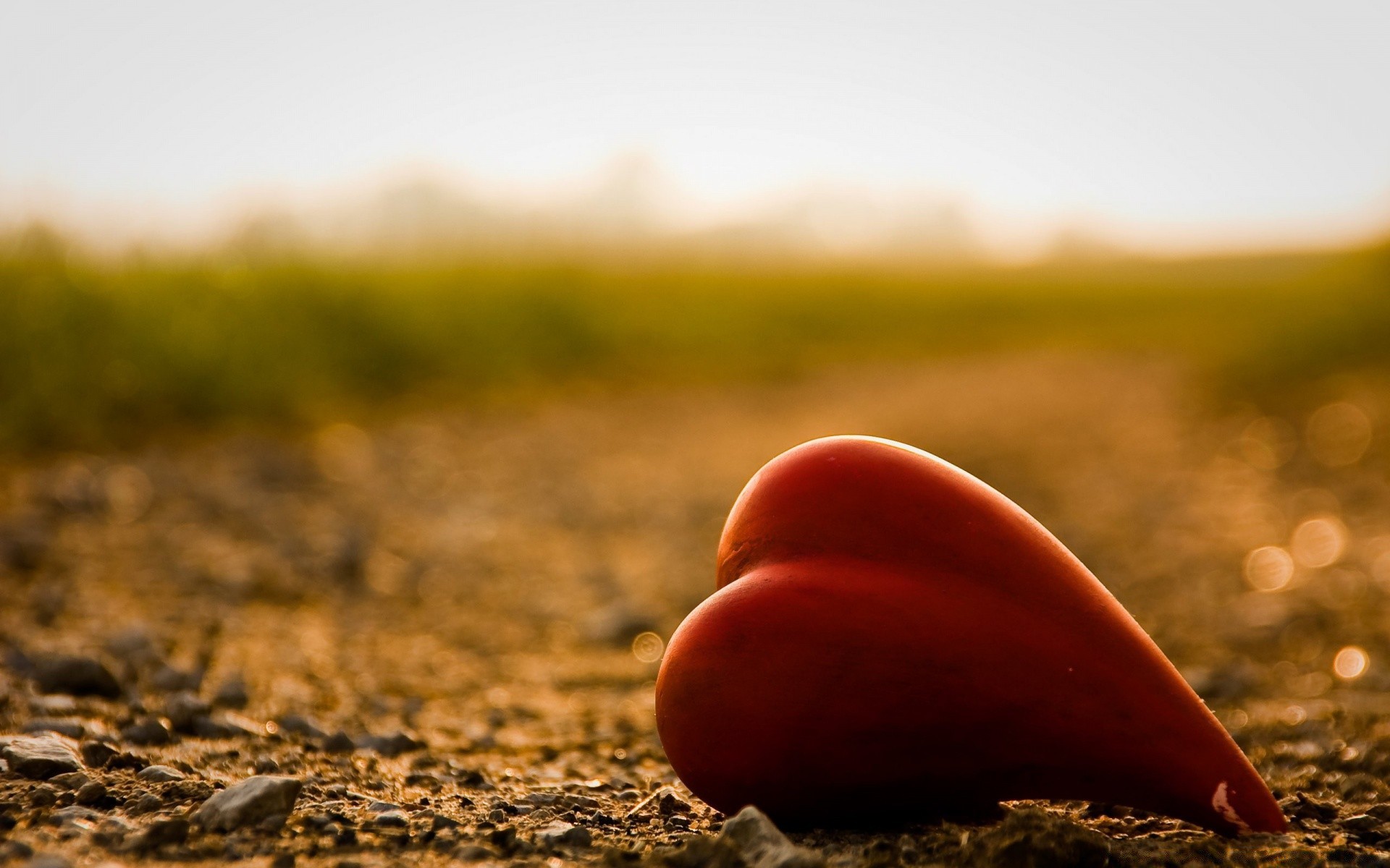 hearts nature sunset beach outdoors field landscape sun grass ground summer fair weather