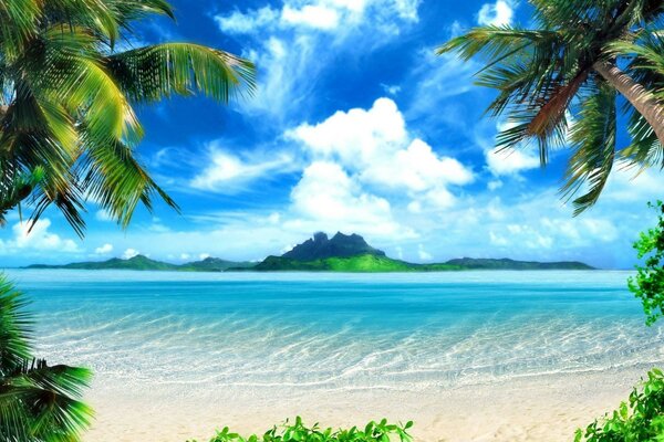 Лазурний тропічний пляж, чистий пісок біля моря