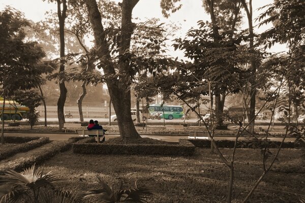 Pareja en el banco del parque