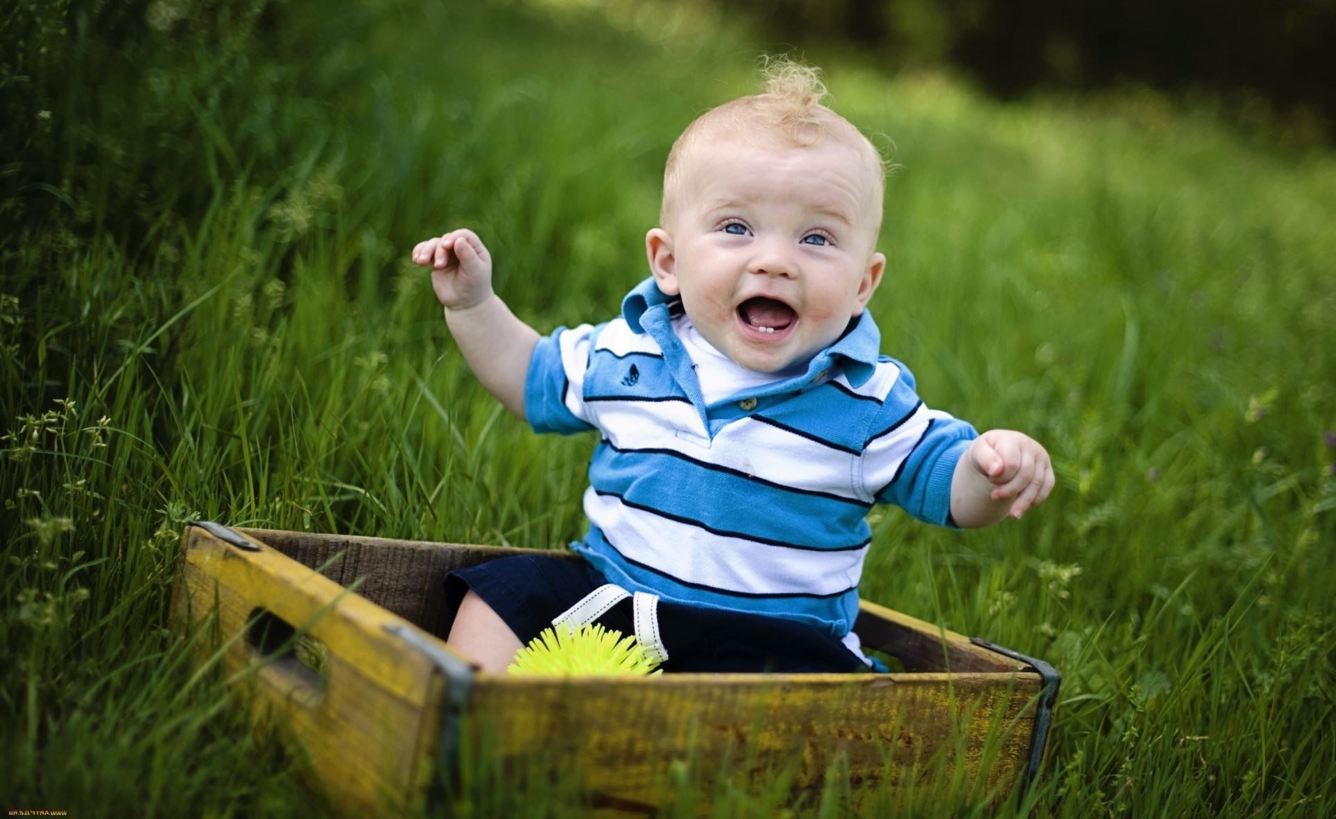 ridere bambini bambino erba poco carino divertimento natura all aperto estate tempo libero gioia parco sedersi fieno bambino divertimento