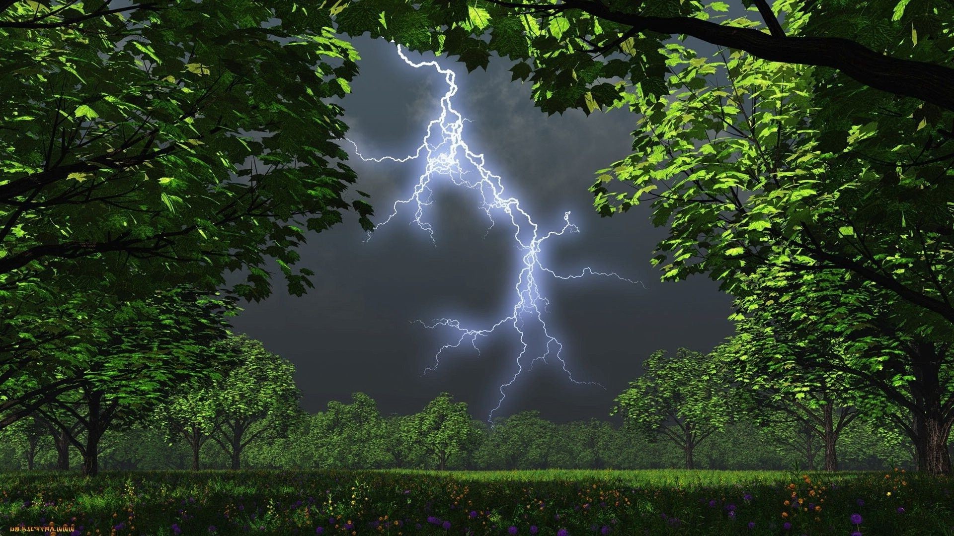 landschaft baum landschaft natur holz blatt im freien park sommer