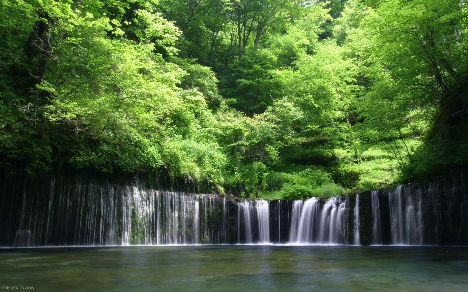 waterfalls water wood nature river waterfall leaf tree stream landscape park environment lush summer outdoors travel wet cascade fall scenic