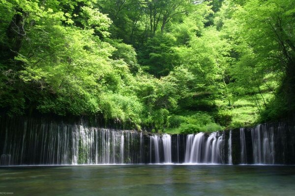 Wald und Wasserfall im Sommer