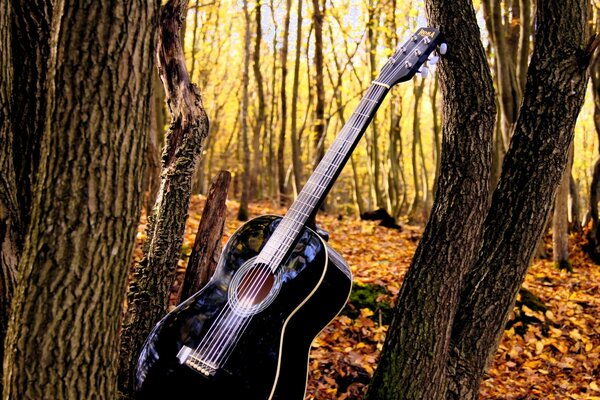 Autumn music outdoors