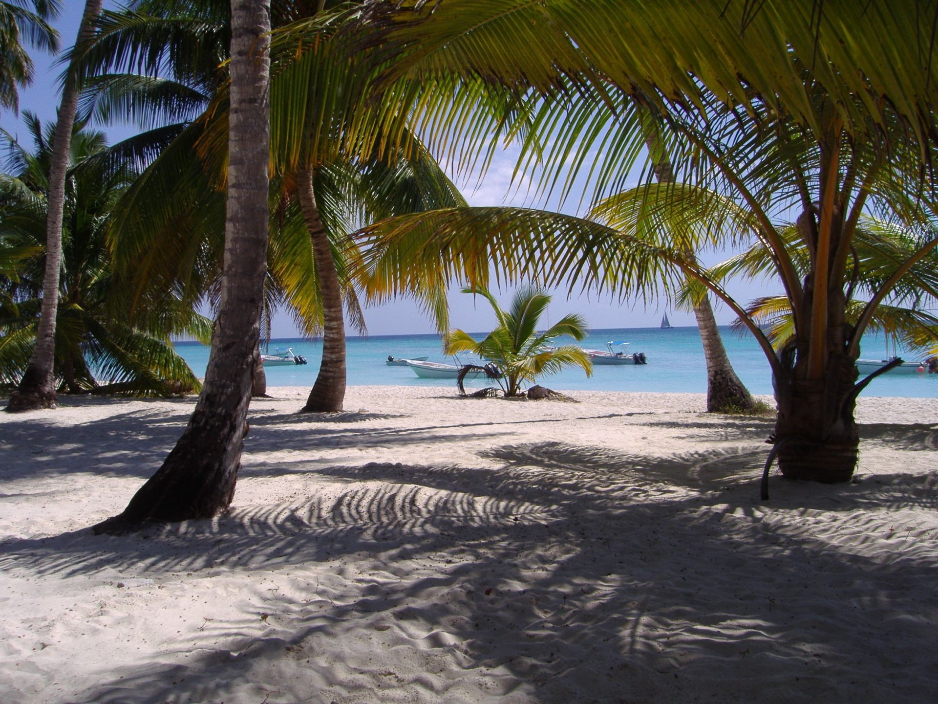 mare e oceano spiaggia sabbia tropicale mare oceano palme isola vacanze acqua viaggi relax sole resort estate paesaggio esotico mare paradiso idillio