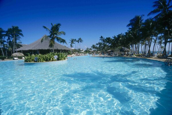 Swimming pool on the background of palm trees and houses of the hotel