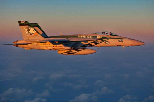 Avion militaire en service