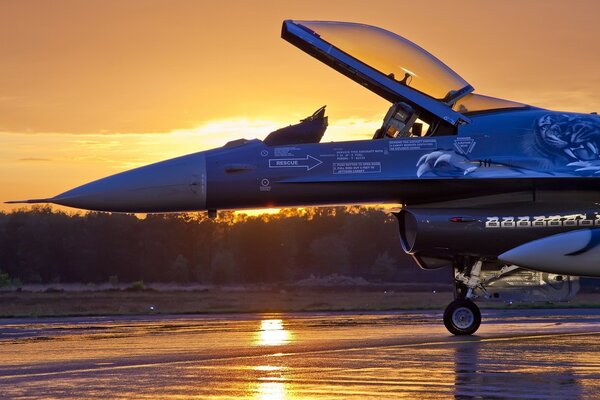 Aviation Russe. Avion de combat