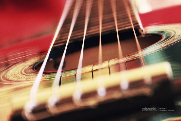 Cuerdas de guitarra. Instrumento musical