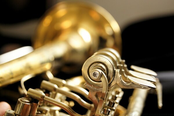 Golden details of a musical instrument