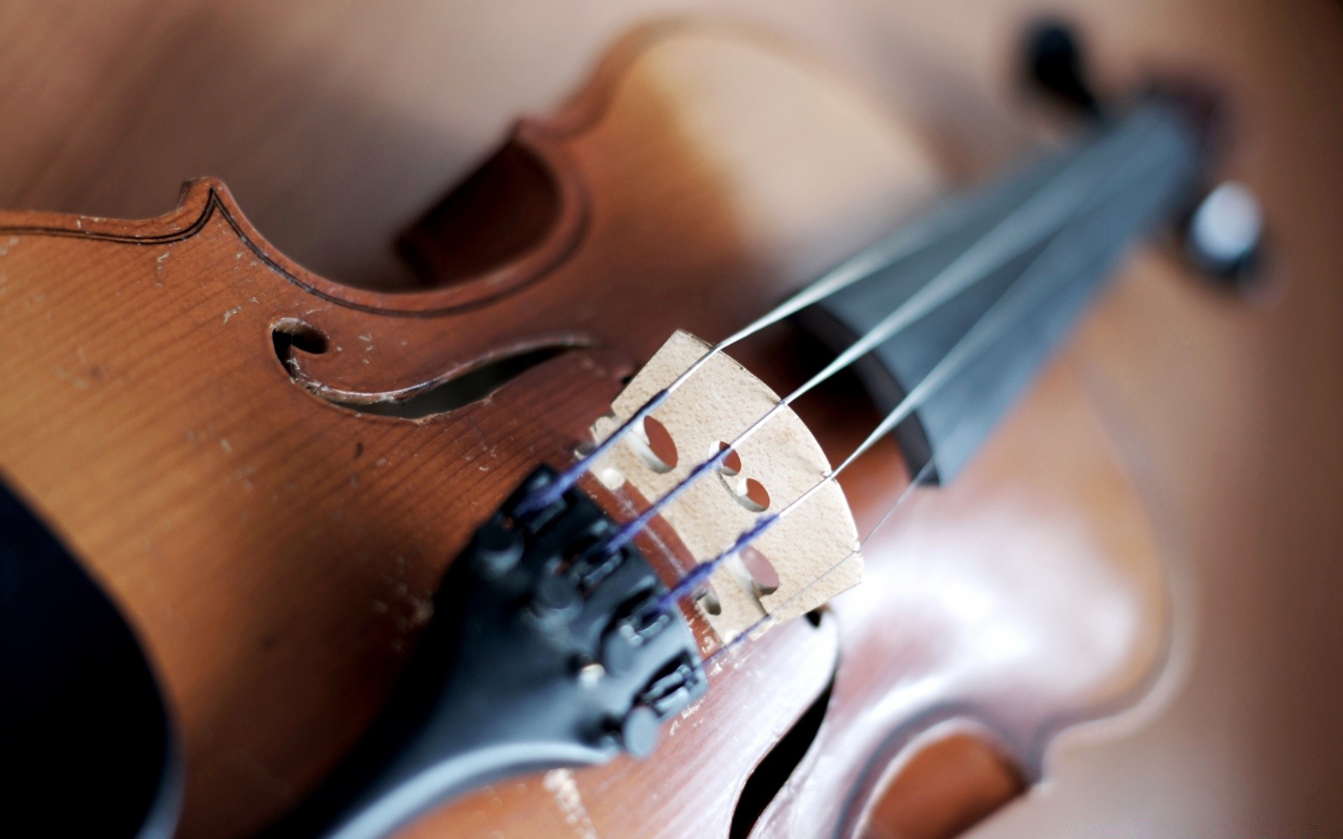 música instrumento instrumento de corda de arco som violino madeira guitarra clássico músico acústico jogar banda concerto viola acorde mãos jazz baixo de madeira