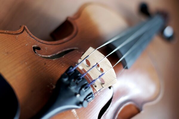 Violon musical brun en bois