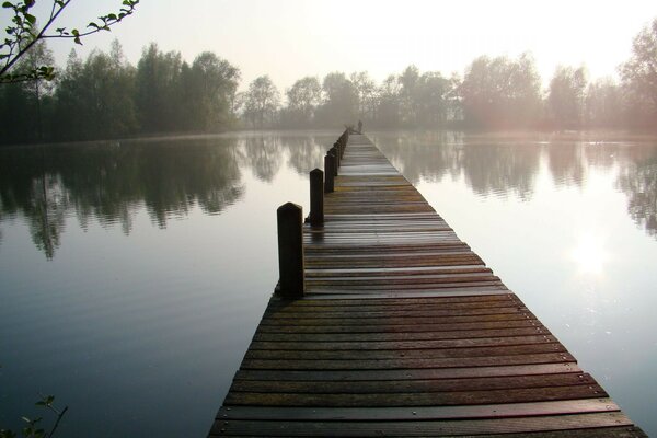 Bridge over a quiet lake, reflection of trees in calm water