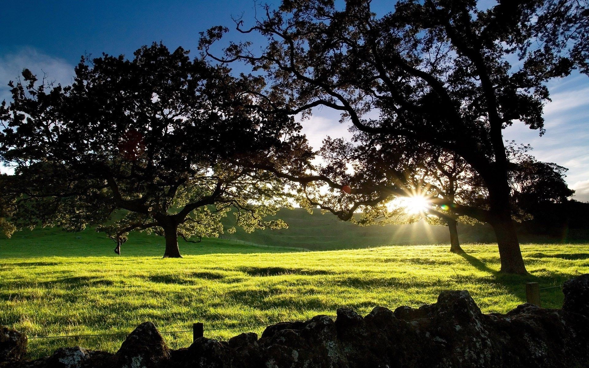 the sunset and sunrise landscape tree grass nature sun outdoors field hayfield fair weather summer countryside rural dawn sky park
