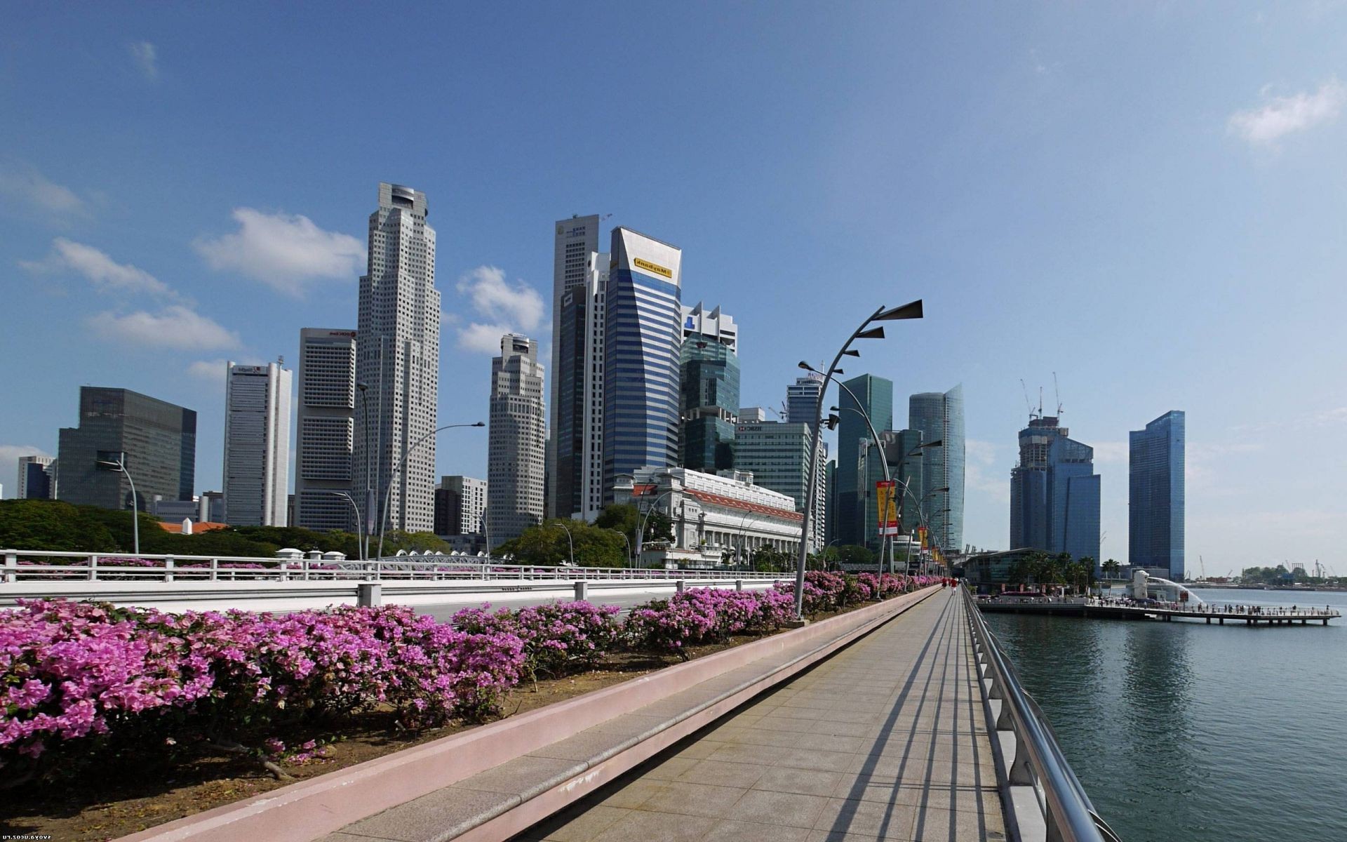 桥梁 城市 天际线 摩天大楼 建筑 城市 房子 旅游 市中心 天空 水 城市 现代 河流 堤防 商业 桥梁 办公室 金融 港口