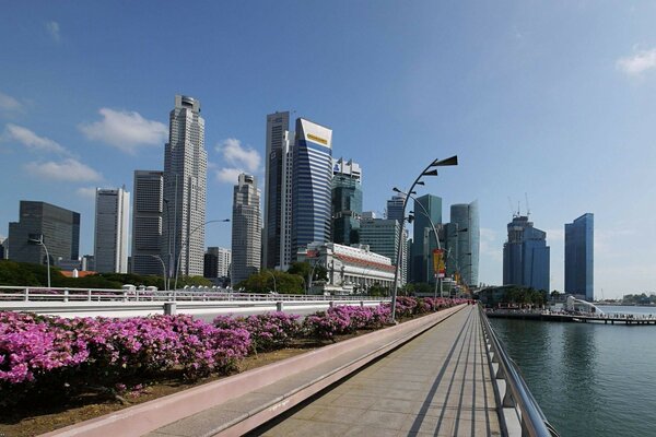 Flowers on the embankment in a large metropolis