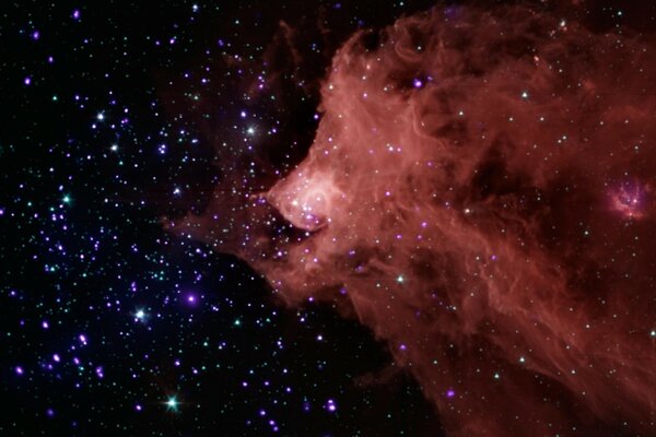 Nebulosa nel cielo notturno stellato