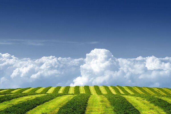 Champs, prairies et vallées de campagne