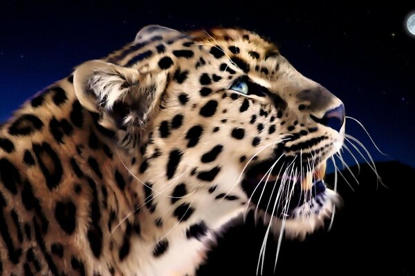 Wilder Leopard mit blauen Augen