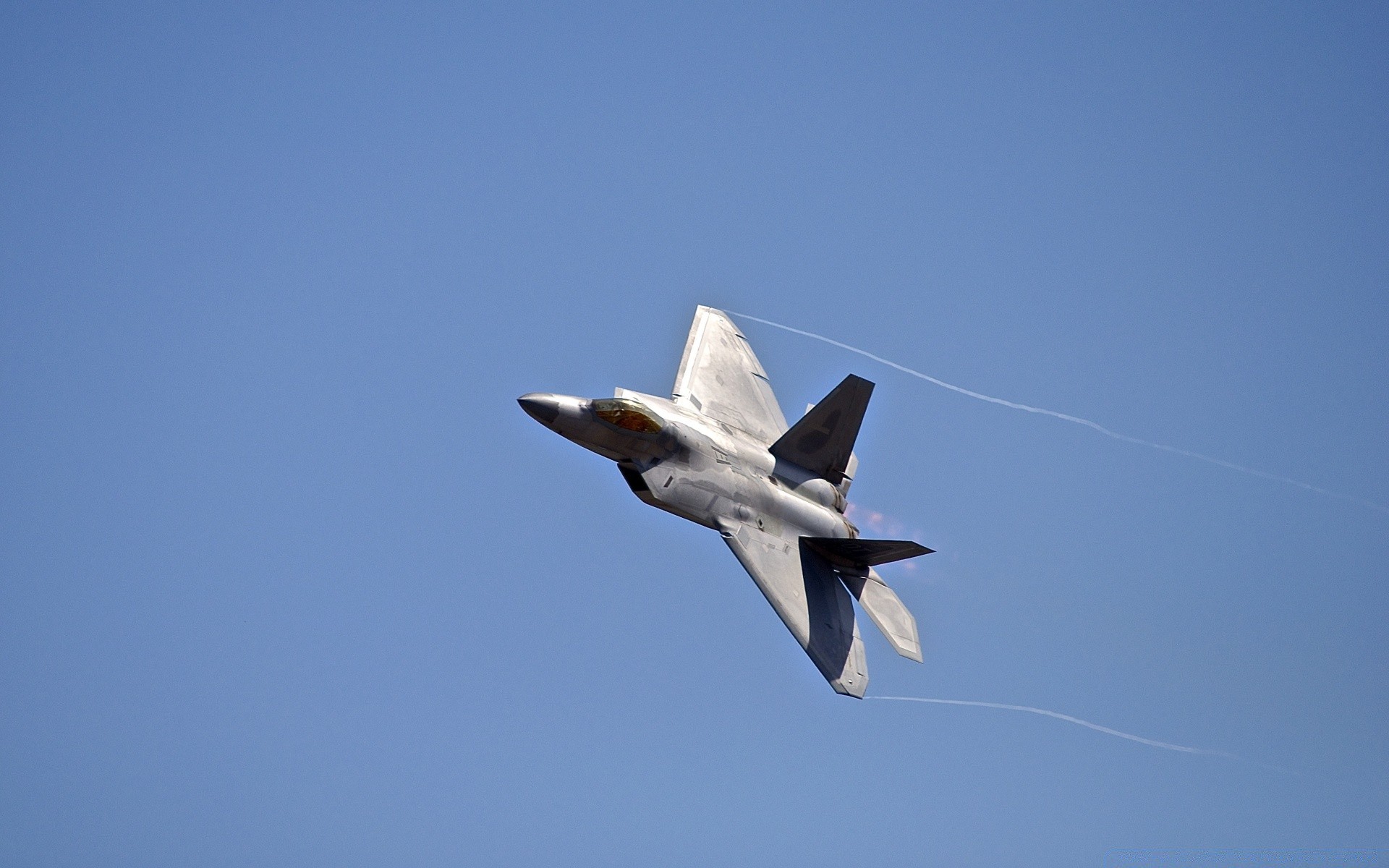 aviazione volo aereo aereo aria uccello cielo ala aereo volare militare fauna selvatica