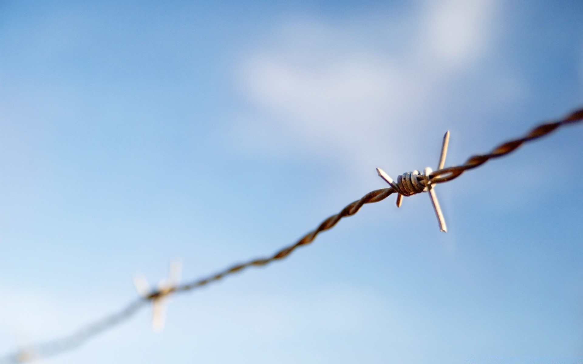 weapons and army barbed wire sky fence wire flight freedom nature outdoors airplane security jail blue sky sharp razor