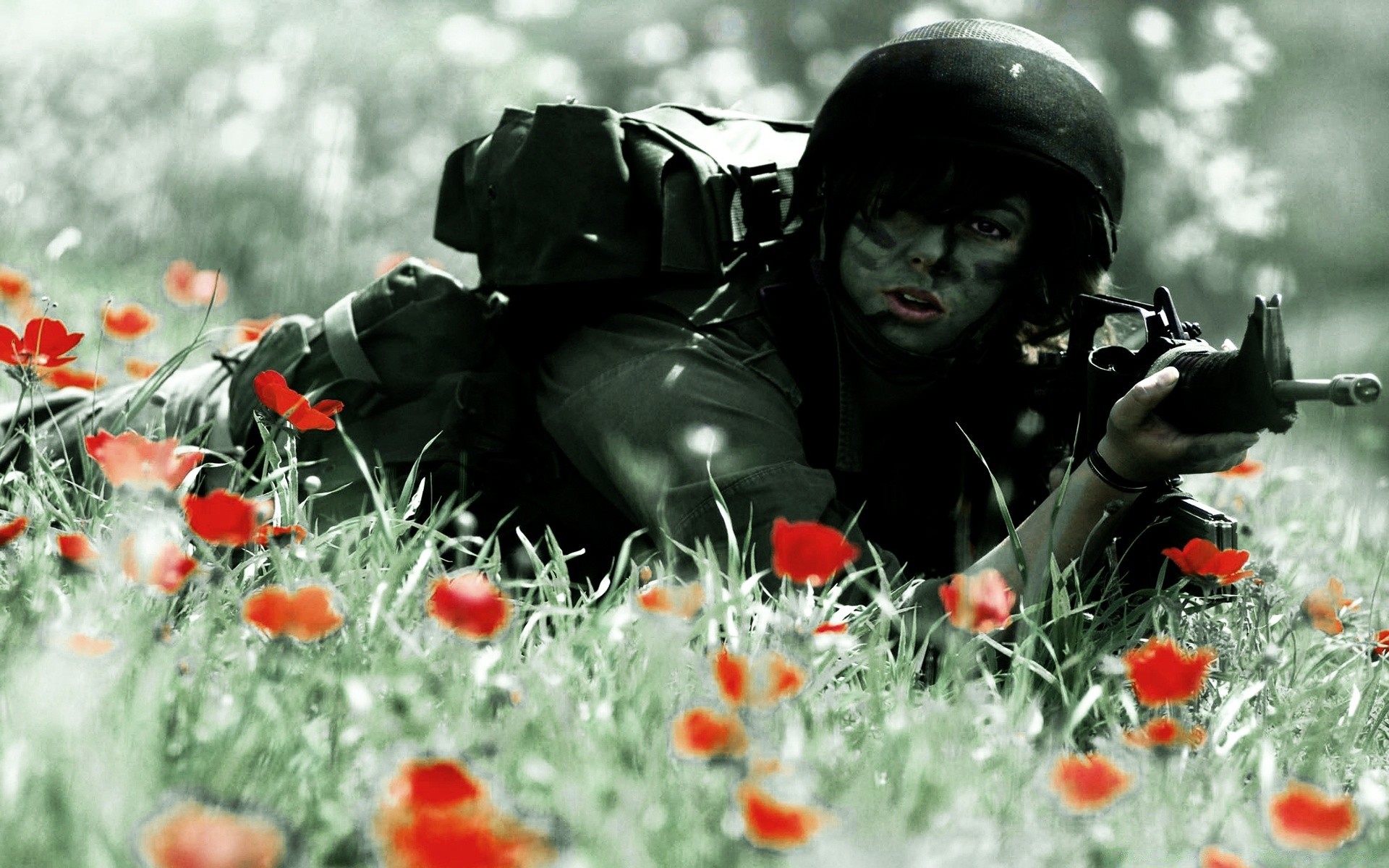 infantería al aire libre guerra naturaleza soldado flor ejército batalla hierba