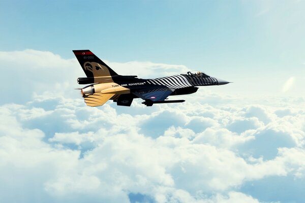 Avión de combate moderno sobre las nubes