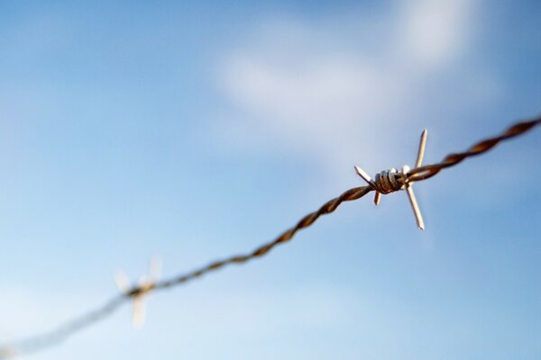 Barbed wire on a blue sky background