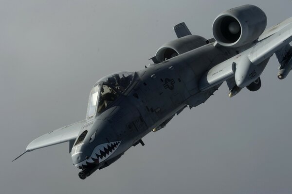 A bomber plane with a sinister color