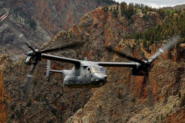 Helicóptero vuela entre rocas con árboles