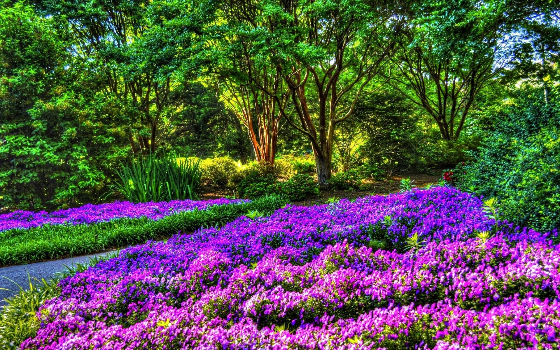 jahrgang blume natur garten flora landschaft park blatt holz blühen saison heuhaufen baum gras blumen sommer farbe im freien umwelt feld im freien