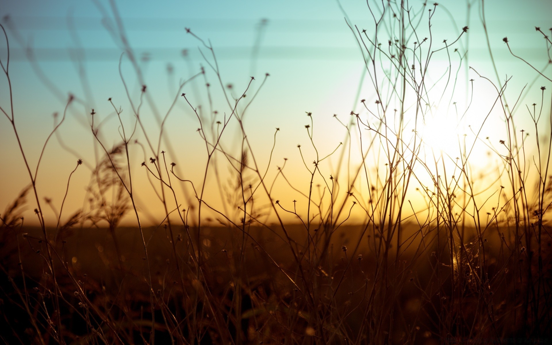 jahrgang feld gras sonnenuntergang sonne dämmerung heuhaufen natur desktop landschaft gold bauernhof farbe flora weide garten