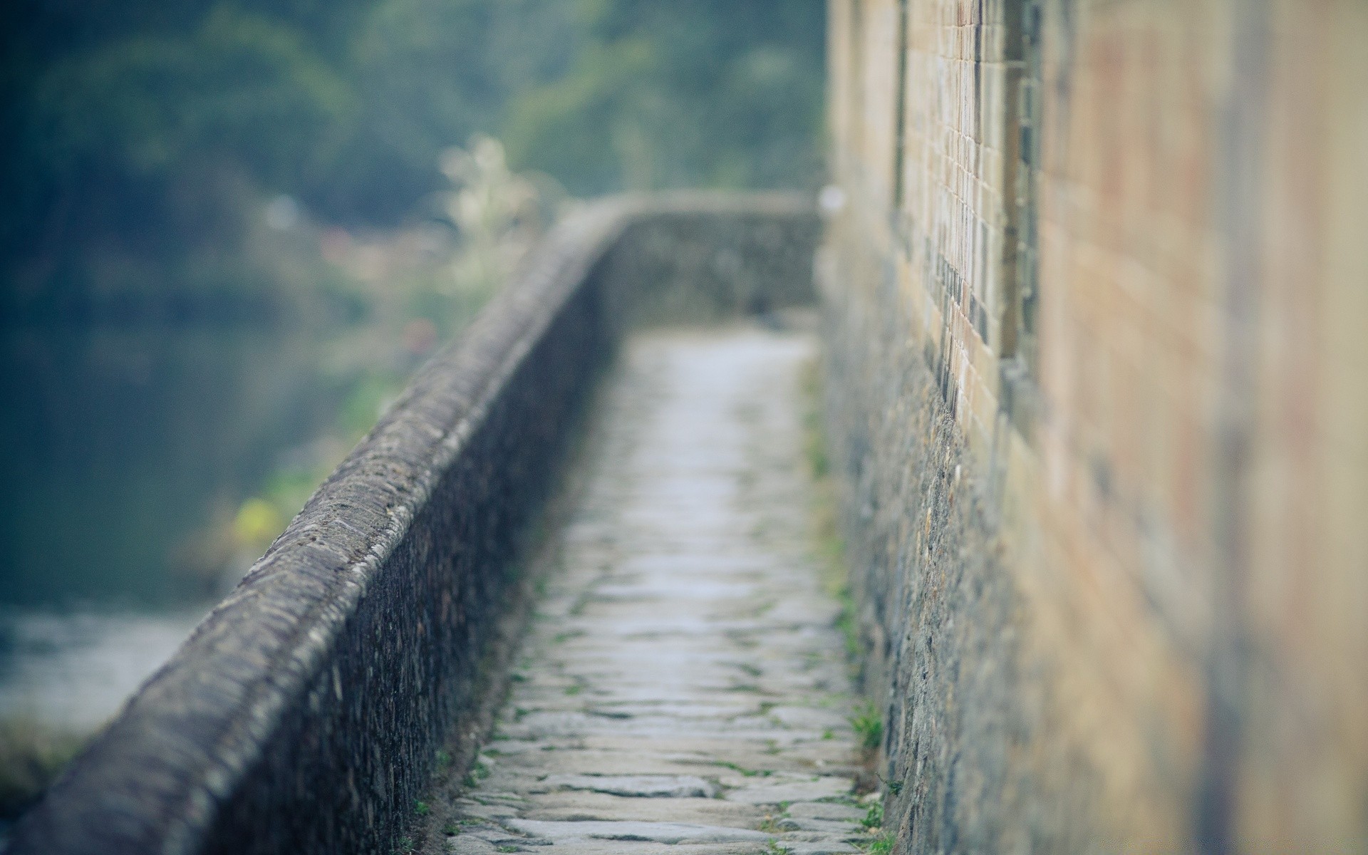 vintage natura legno paesaggio acqua sfocatura ponte all aperto pioggia autunno nebbia strada viaggio guida luce