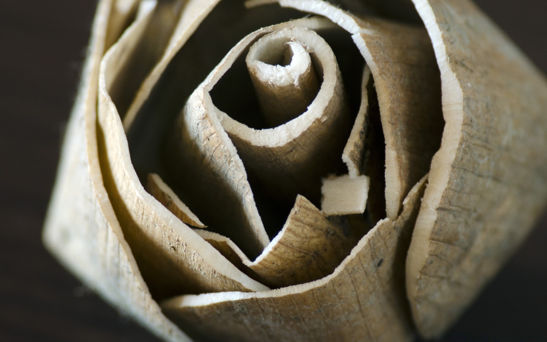 vintage still life food nature texture desktop close-up flower