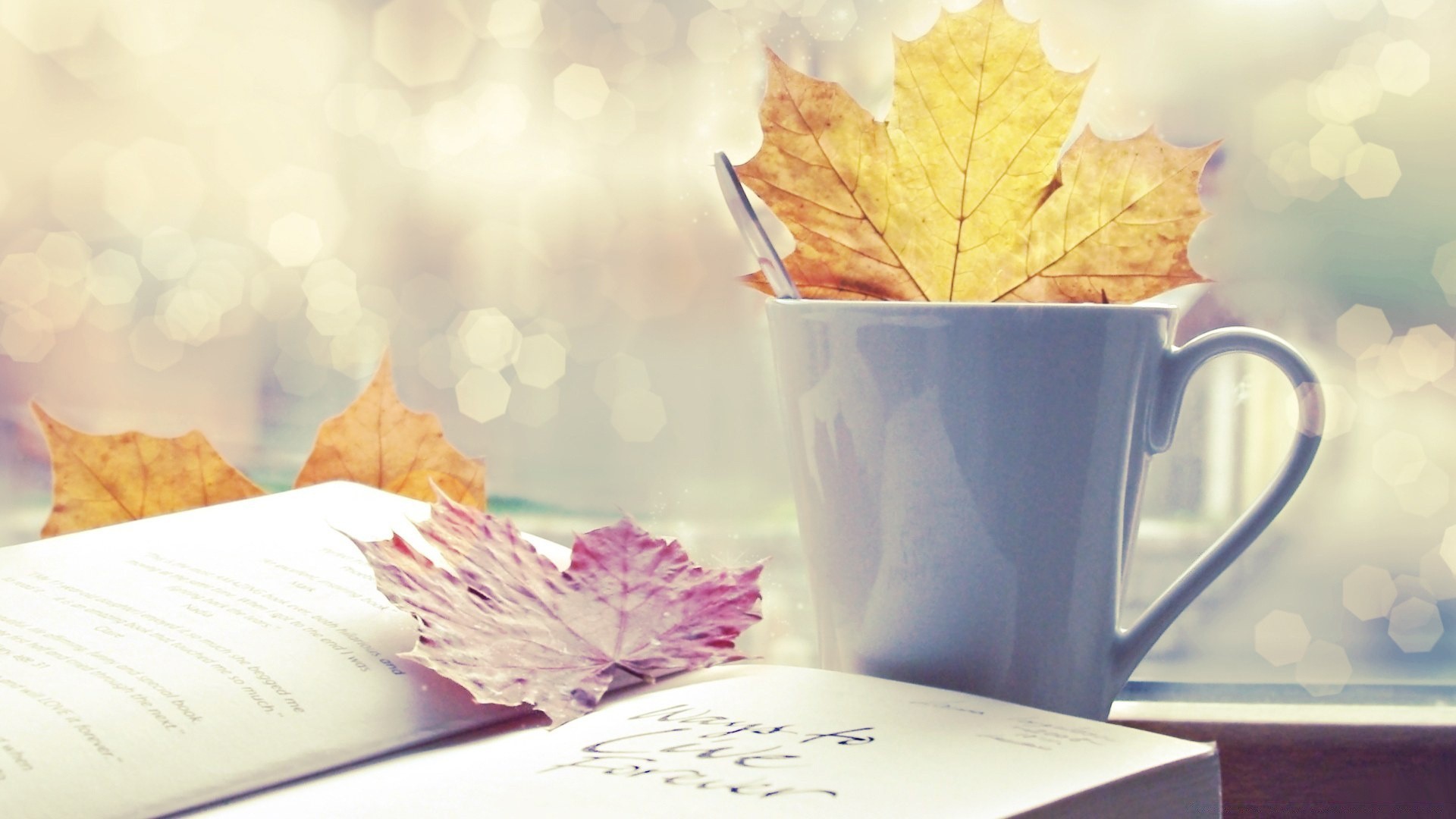 vintage paper coffee dawn table cup leaf drink book wood desktop education document page business fall color