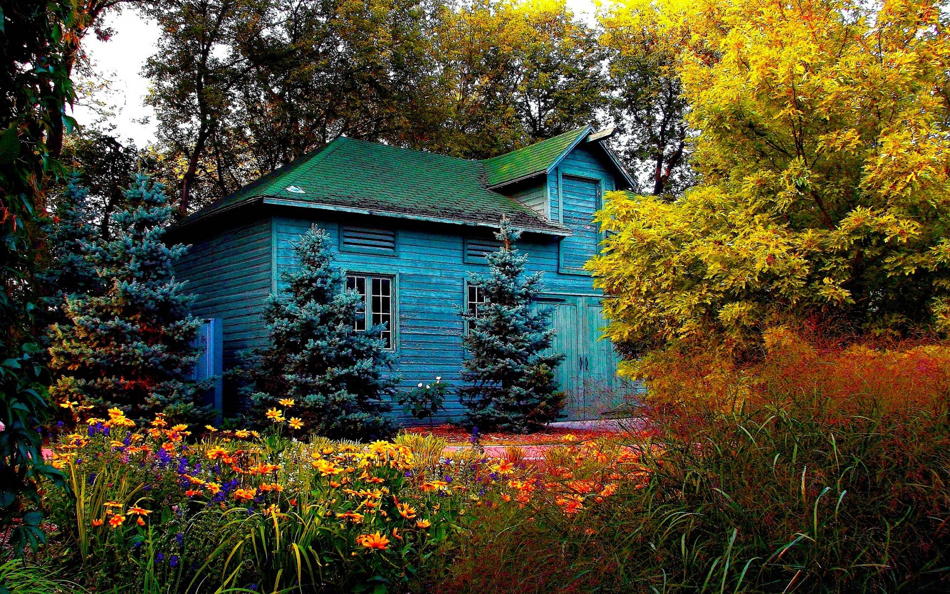 vintage madera casa árbol otoño al aire libre naturaleza familia hoja color hogar