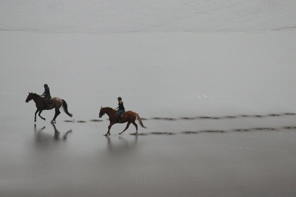 Riders on horses galloping along the road