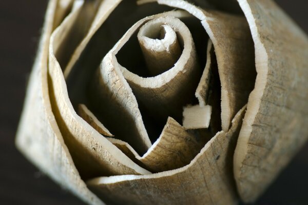 Una obra de arte de madera. Pedazo de virutas de madera