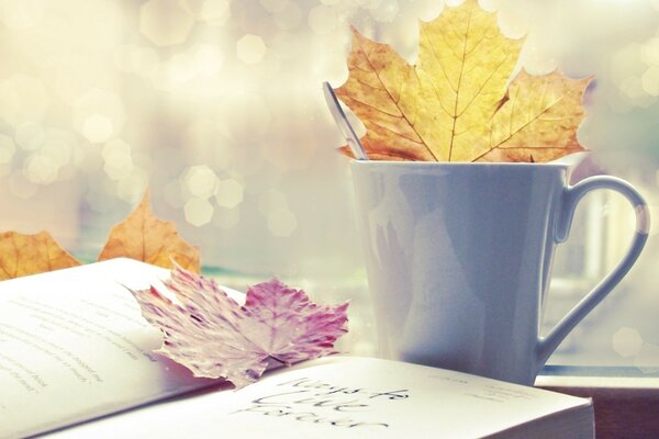 Buch mit Ahornblättern und Becher am Fenster