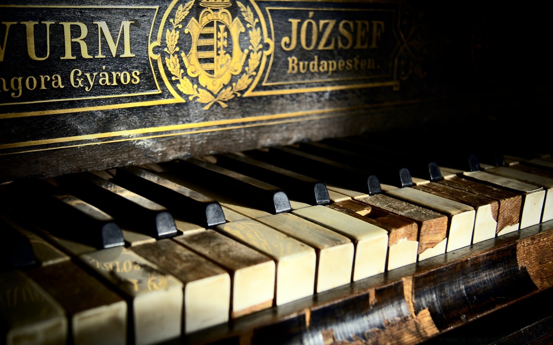 vintage pianoforte gatto musica strumento suono ebano vecchio antico classico sintetizzatore tastiera musicista concerto jazz armonia chiave canzone ritmo accordo