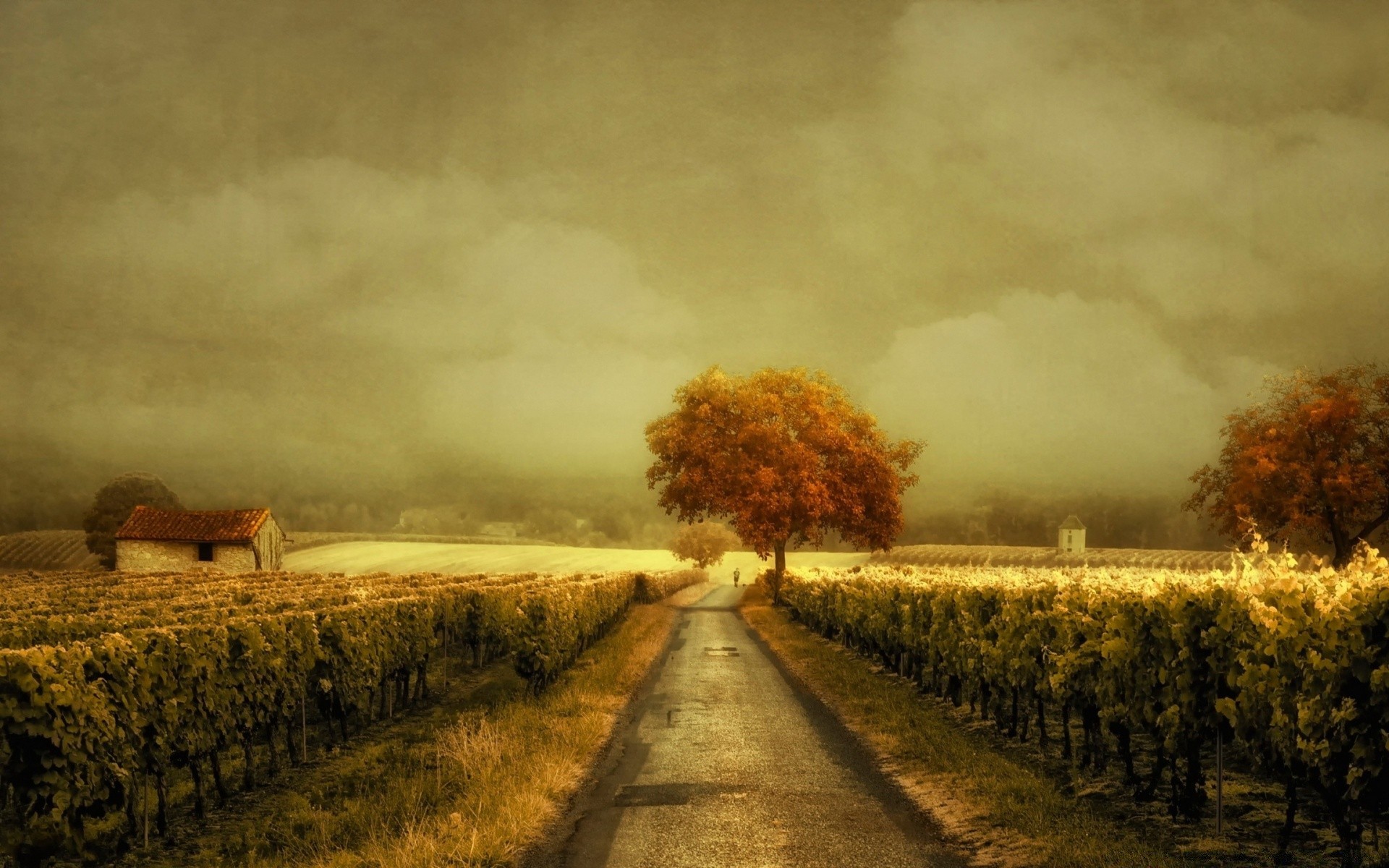 vintage paisaje puesta de sol amanecer tormenta otoño al aire libre agricultura niebla campo árbol niebla cielo granja lluvia naturaleza tierra cultivada tiempo noche rural