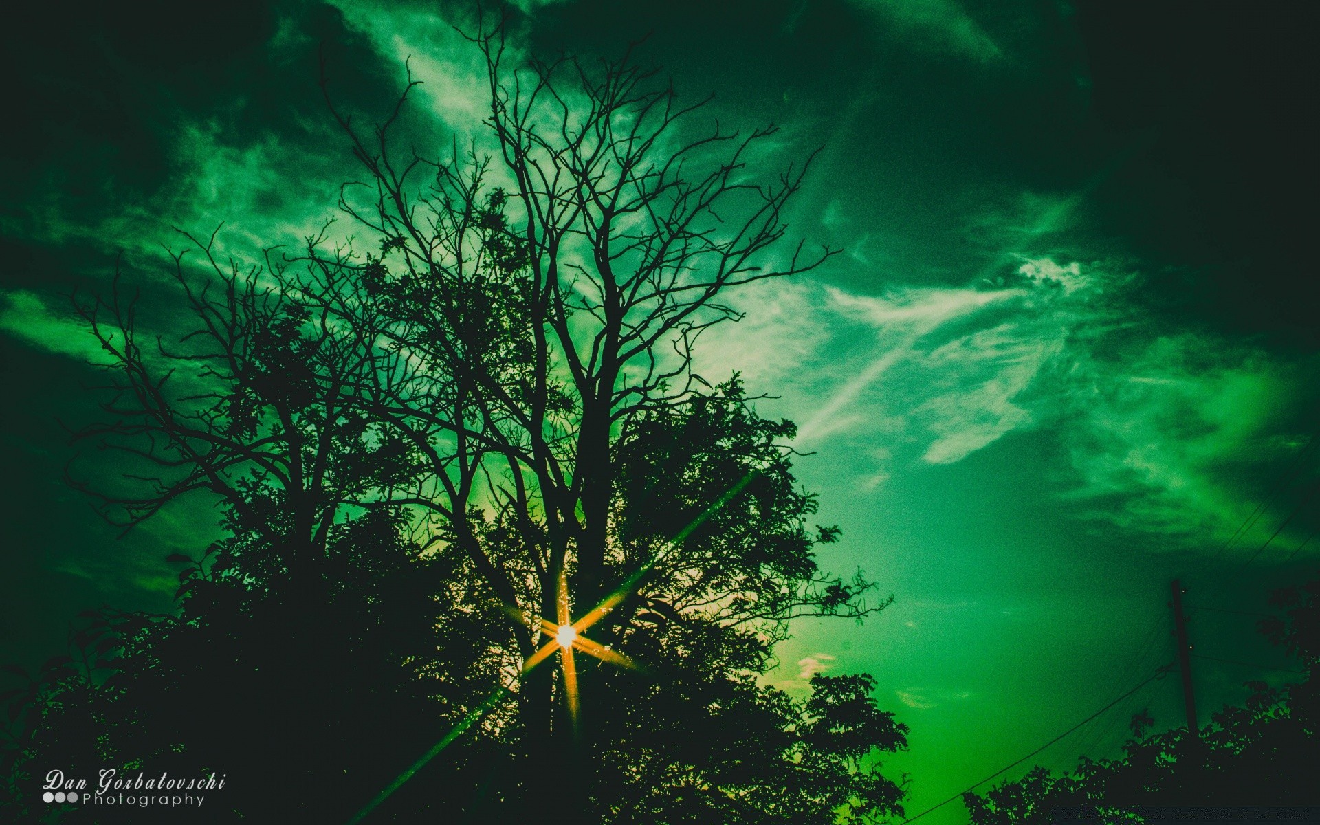 jahrgang natur im freien dunkel gutes wetter blatt sonne unterwasser hell licht