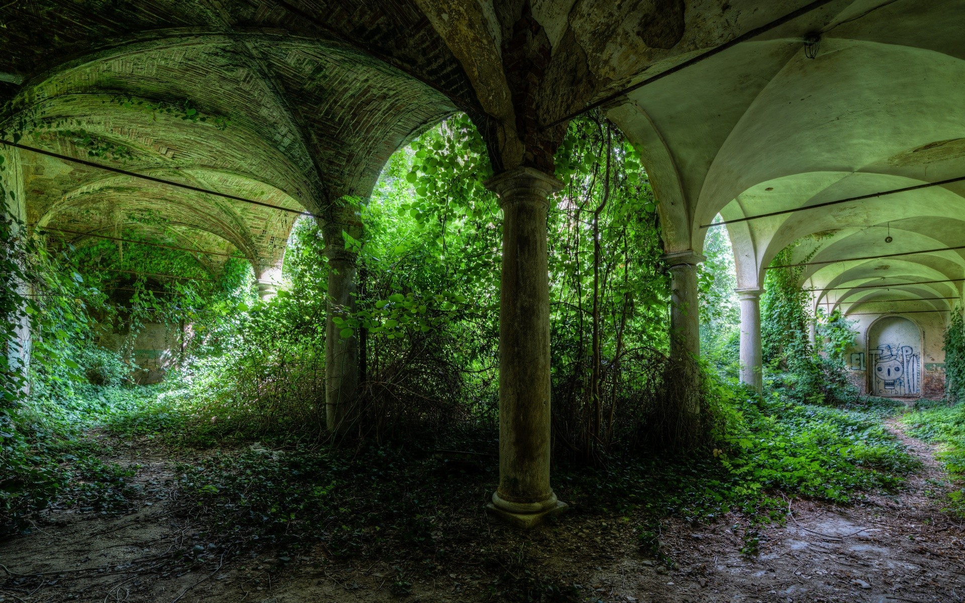 vintage legno foglia giardino luce viaggi albero tunnel