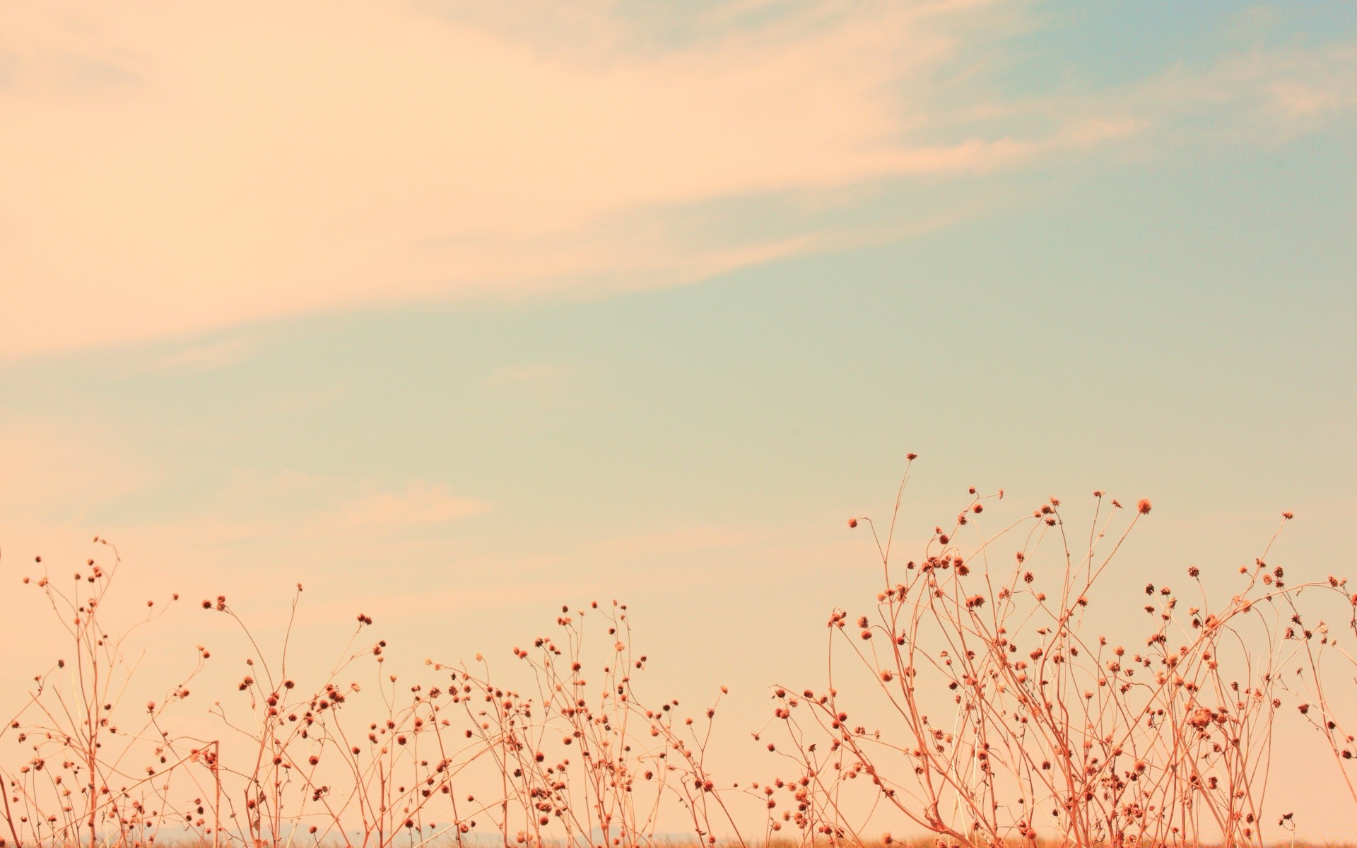 vintage natura sole cielo bel tempo paesaggio all aperto estate stagione luminoso colore autunno tempo luce alba desktop