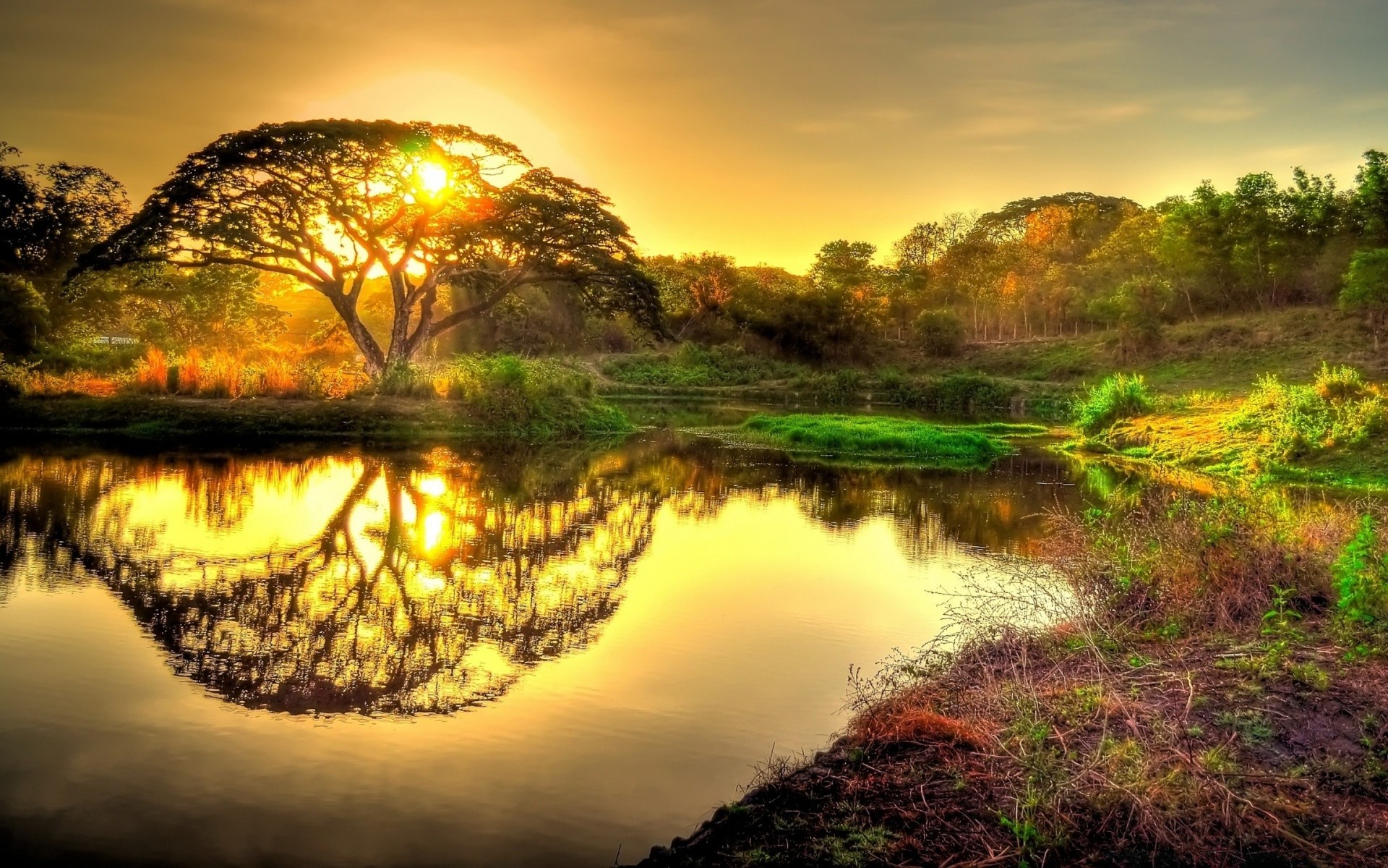 vintage reflexion sonnenuntergang wasser natur dämmerung landschaft see himmel sonne fluss baum abend dämmerung schön reisen im freien gutes wetter holz licht