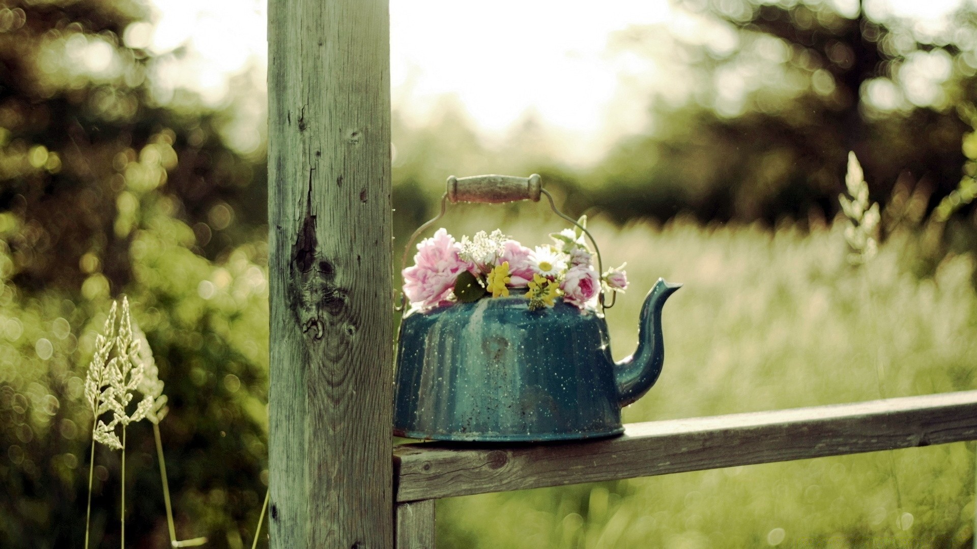 vintage garden flower wood fence nature wooden tree rustic outdoors summer pot